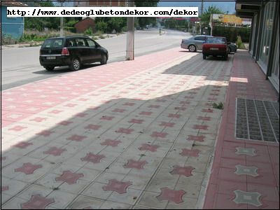 renkli deniz yildizi